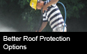 graphics\thumbnails\0512MSroofopt_th.jpg